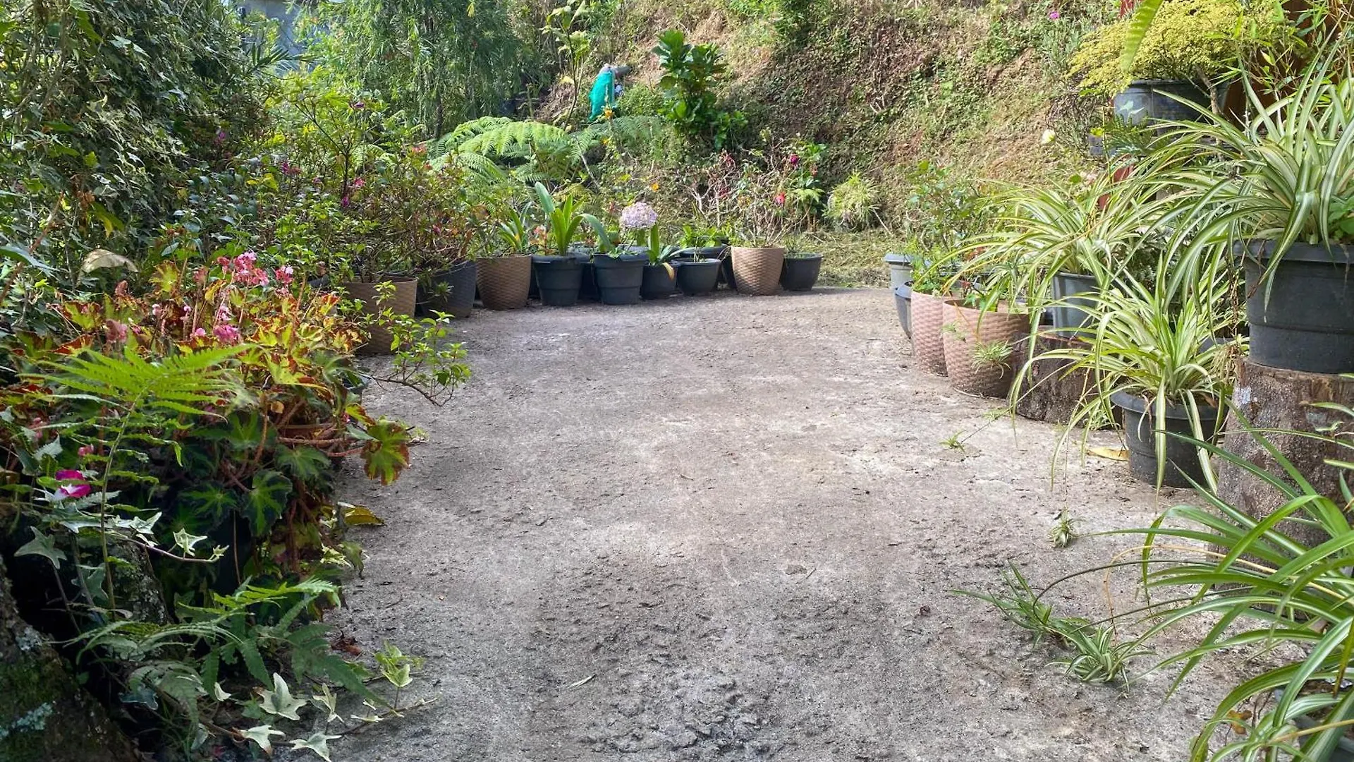 Villa Barrow Family Cabana Nuwara Eliya